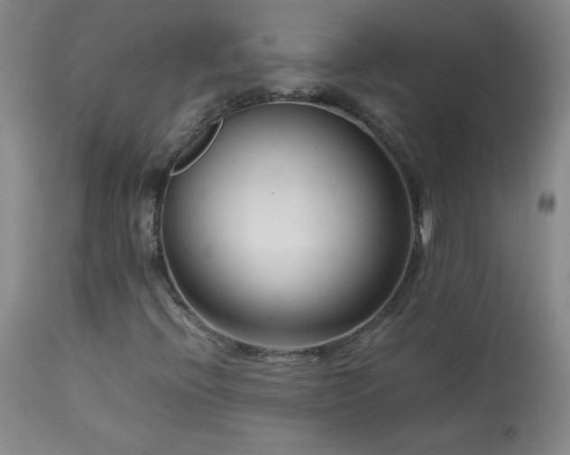X0000113991396200910021211