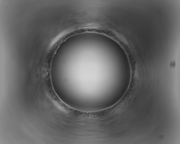 X0000113991400200910021211