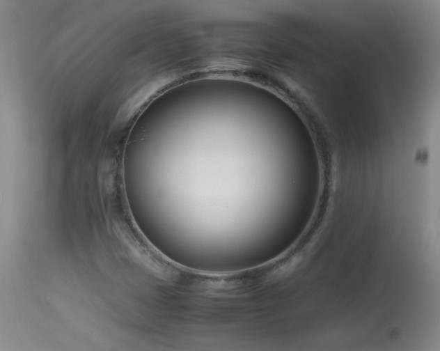 X0000113991401200910021211