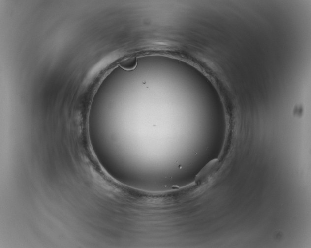 X0000113991402200910021211