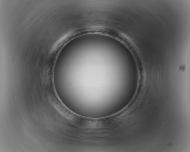 X0000113991403200910021211