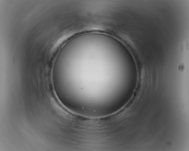 X0000113991404200910021211