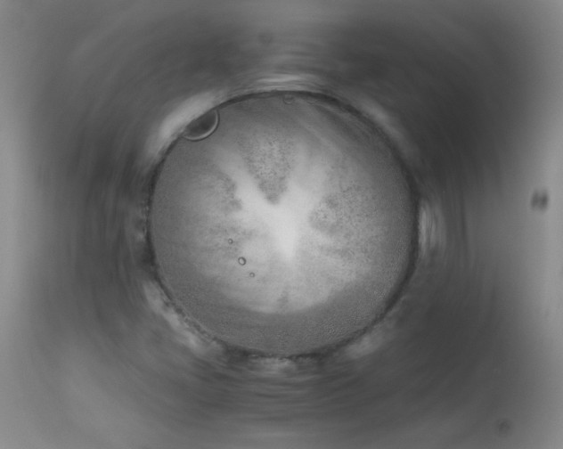 X0000113991405200910021211