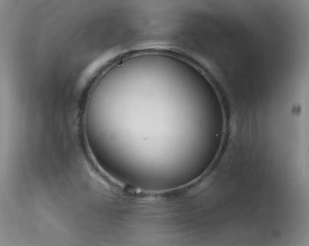X0000113991406200910021211