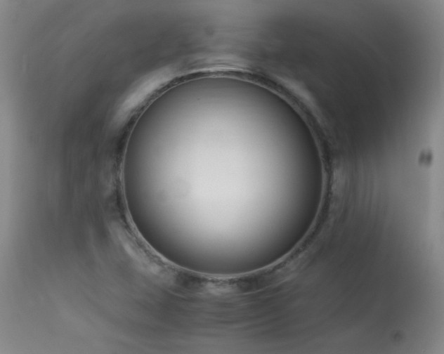 X0000113991407200910021211