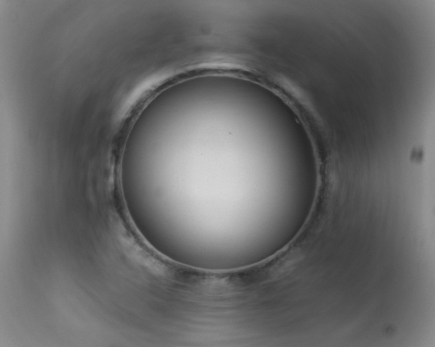X0000113991408200910021211