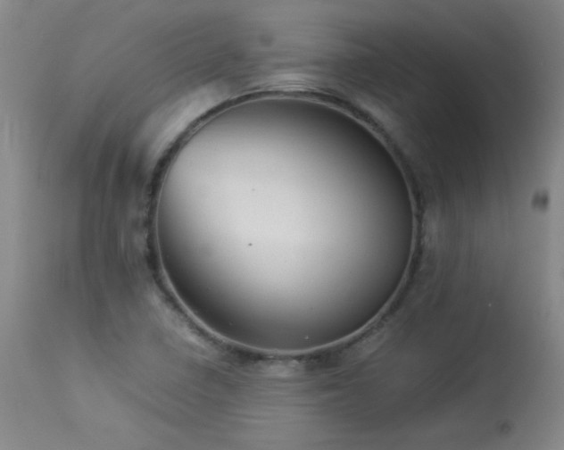 X0000113991410200910021211