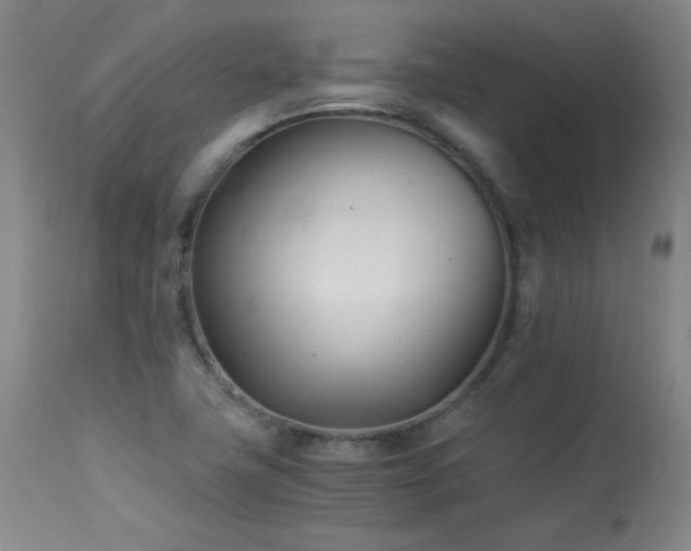 X0000113991411200910021211
