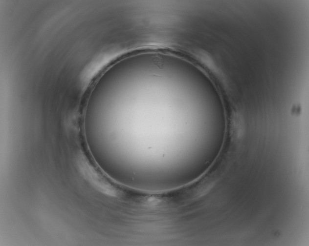 X0000113991412200910021211
