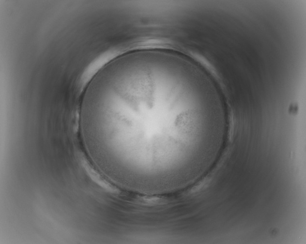 X0000113991413200910021211