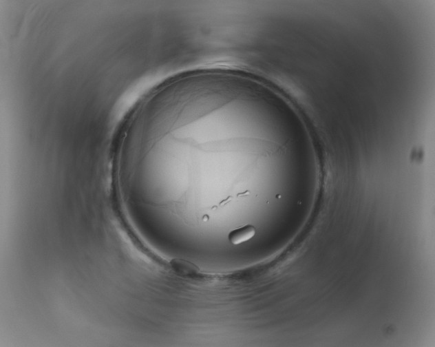 X0000113991414200910021211
