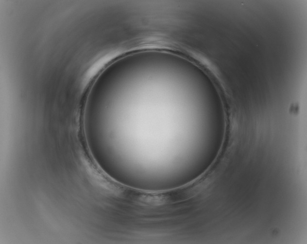 X0000113991415200910021211
