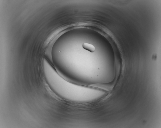 X0000113991417200910021211