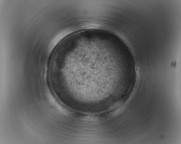 X0000113991418200910021211
