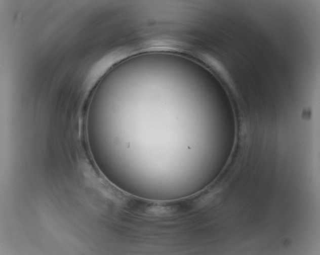 X0000113991419200910021211
