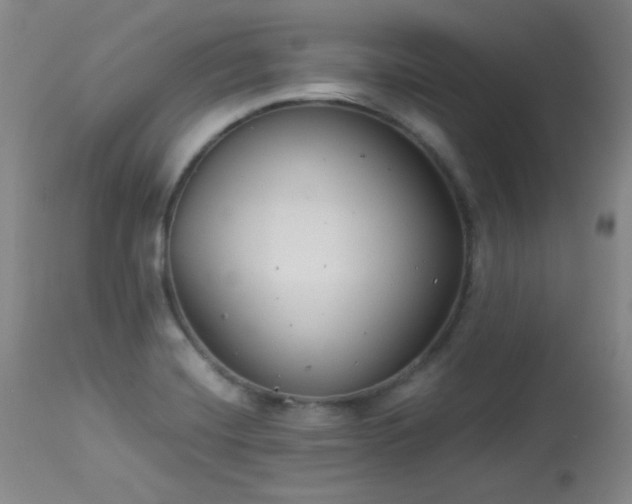 X0000113991420200910021211