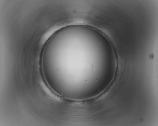 X0000113991422200910021211