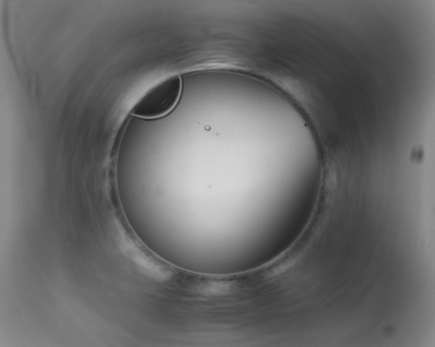 X0000113991423200910021211