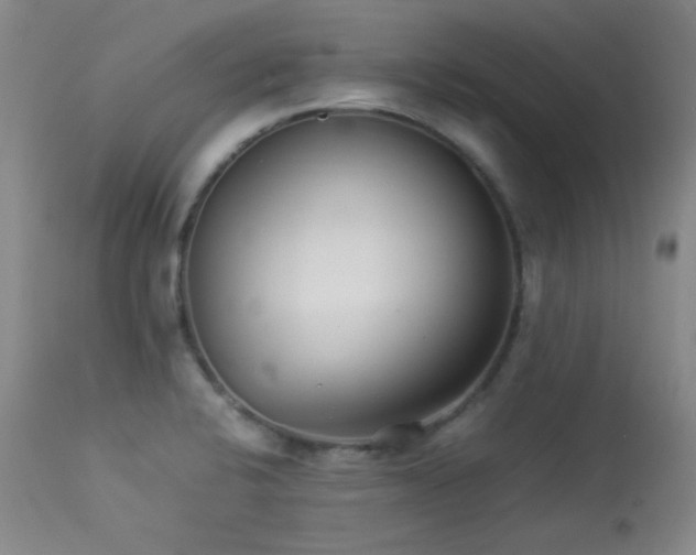 X0000113991424200910021211