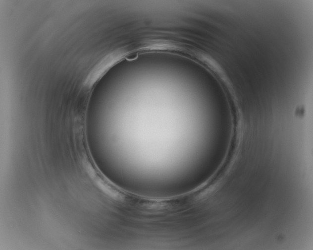 X0000113991425200910021211