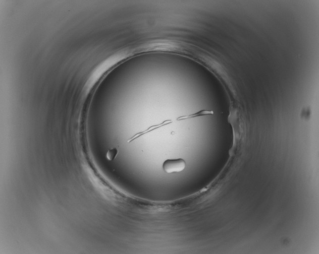X0000113991426200910021211