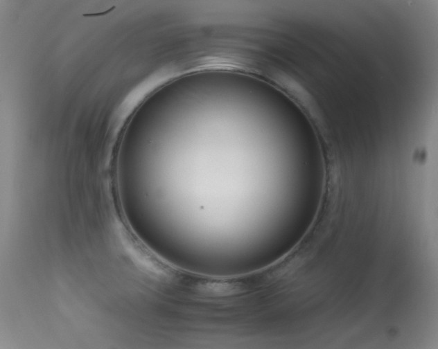 X0000113991427200910021211