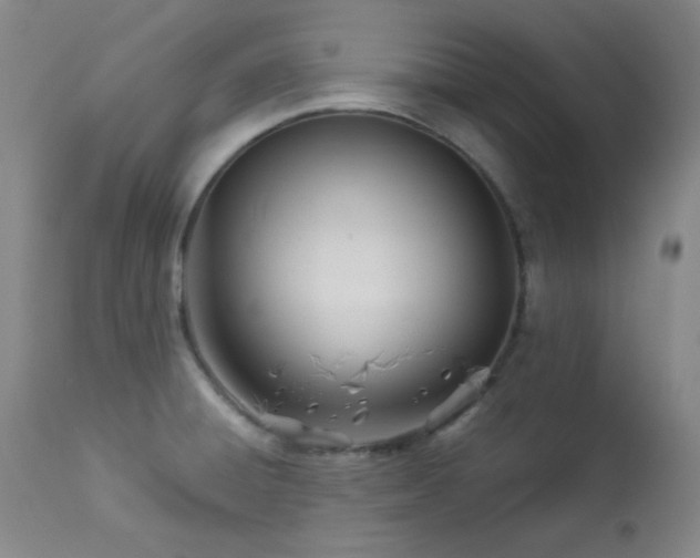 X0000113991428200910021211