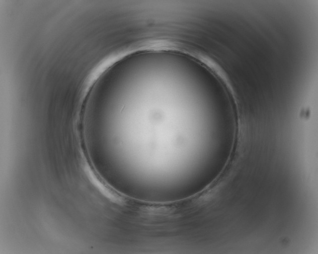 X0000113991429200910021211