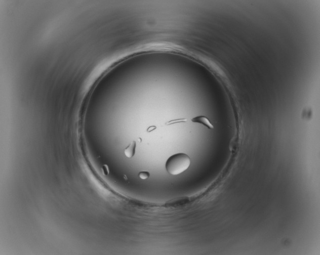 X0000113991430200910021211