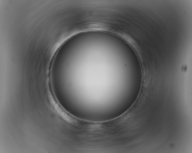 X0000113991431200910021211