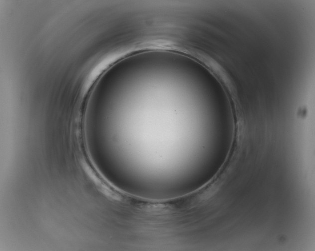 X0000113991432200910021212