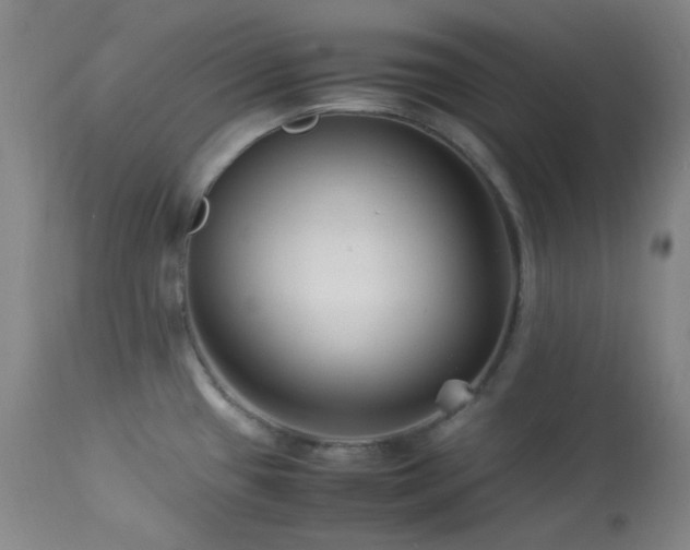 X0000113991433200910021212