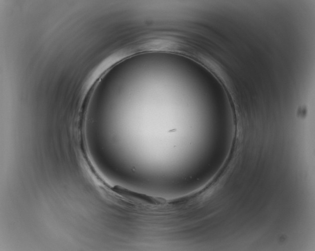X0000113991434200910021212