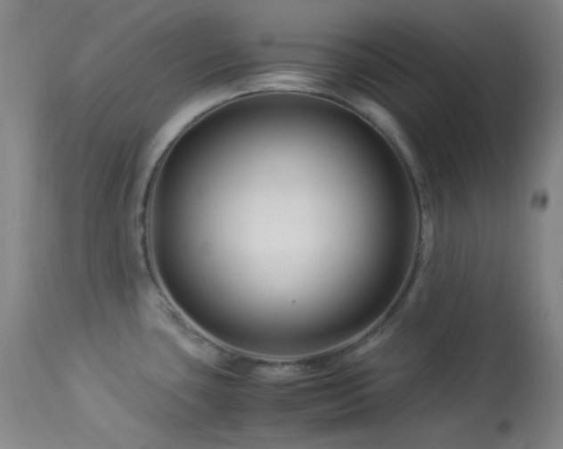 X0000113991435200910021212