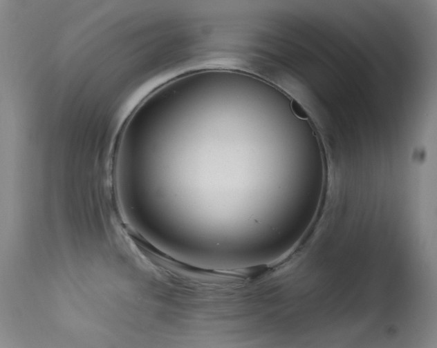X0000113991436200910021212