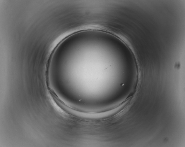 X0000113991438200910021212