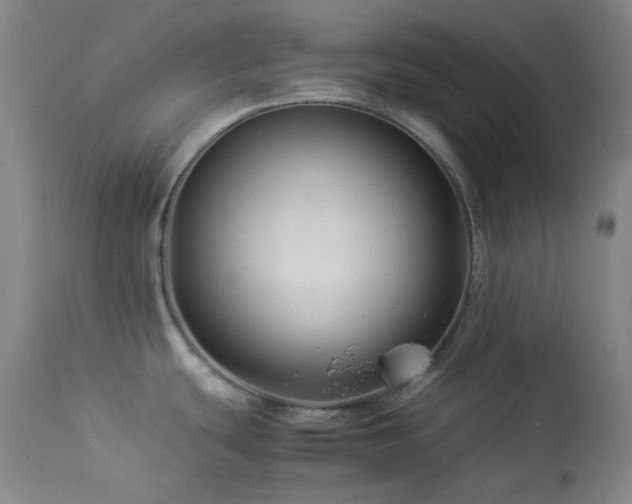X0000113991439200910021212