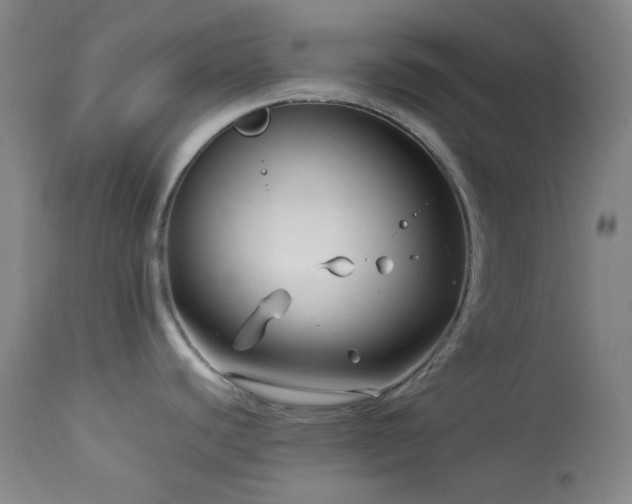 X0000113991440200910021212