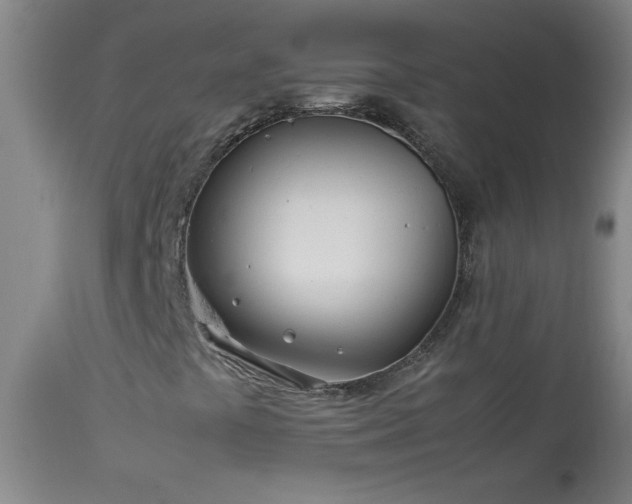 X0000113991441200910021211