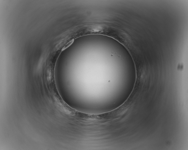 X0000113991442200910021211