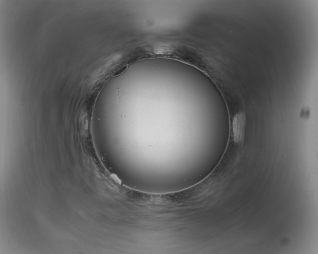 X0000113991443200910021211