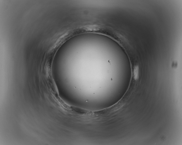 X0000113991444200910021211