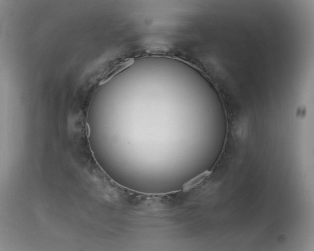 X0000113991445200910021211