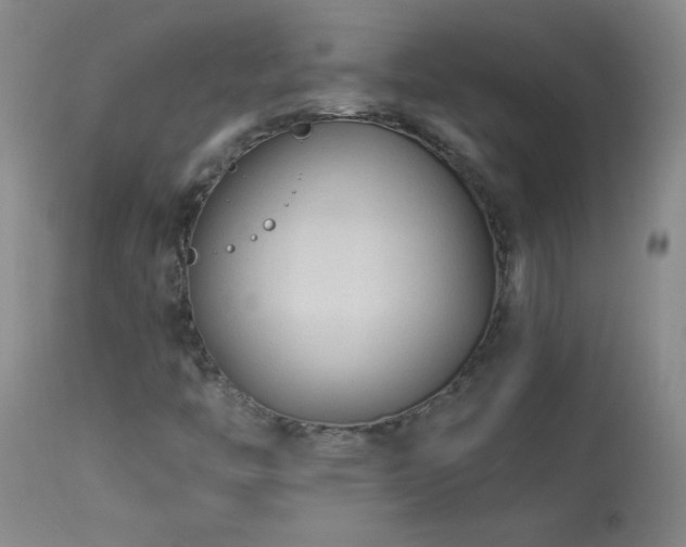 X0000113991446200910021211