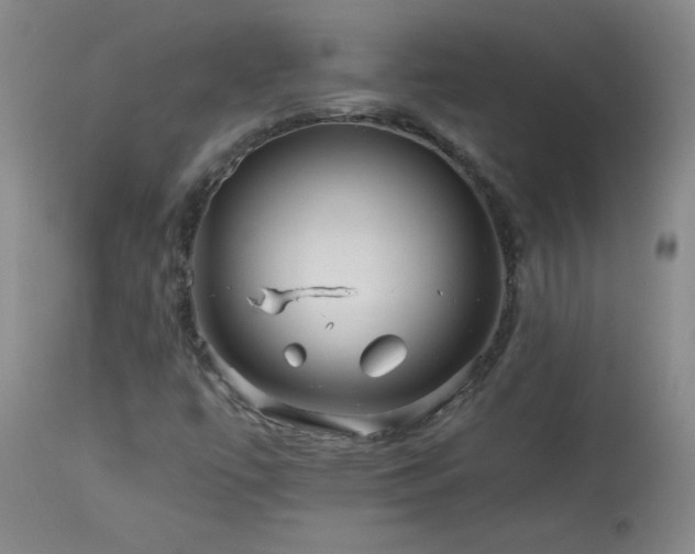 X0000113991447200910021211