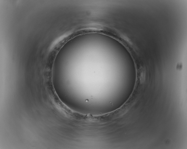 X0000113991448200910021211
