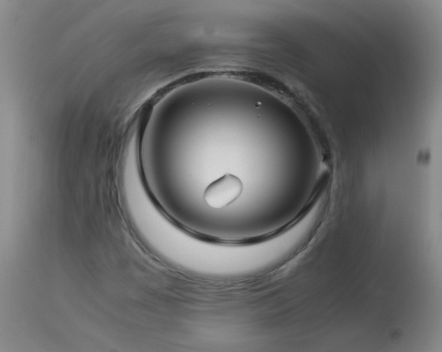 X0000113991449200910021211