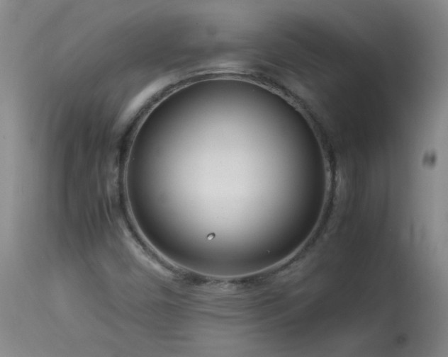 X0000113991450200910021211