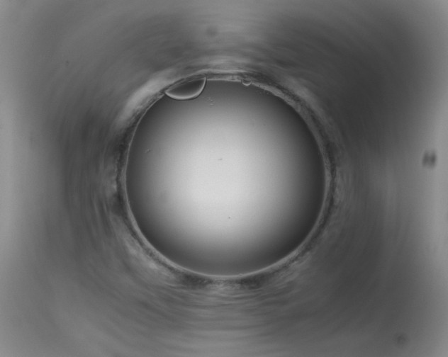 X0000113991451200910021211