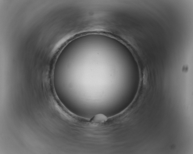 X0000113991452200910021211